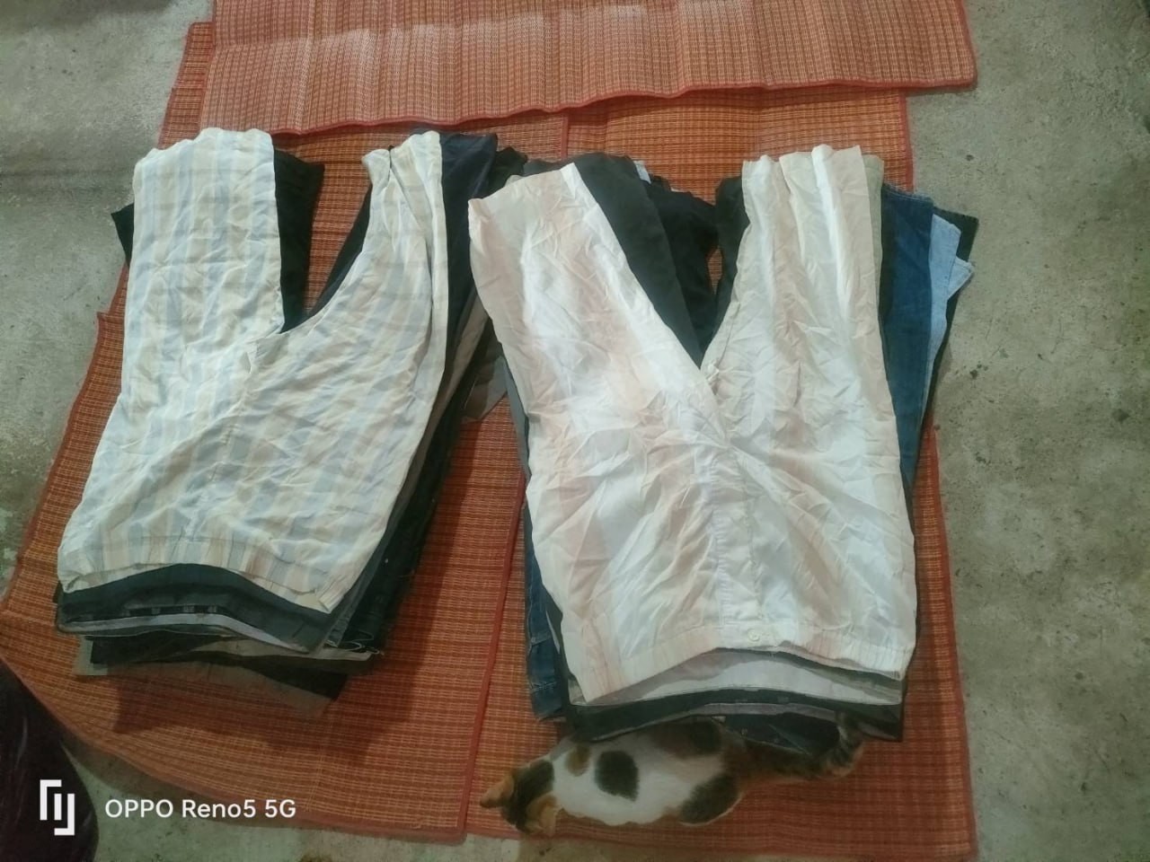 ธนิดา54-651